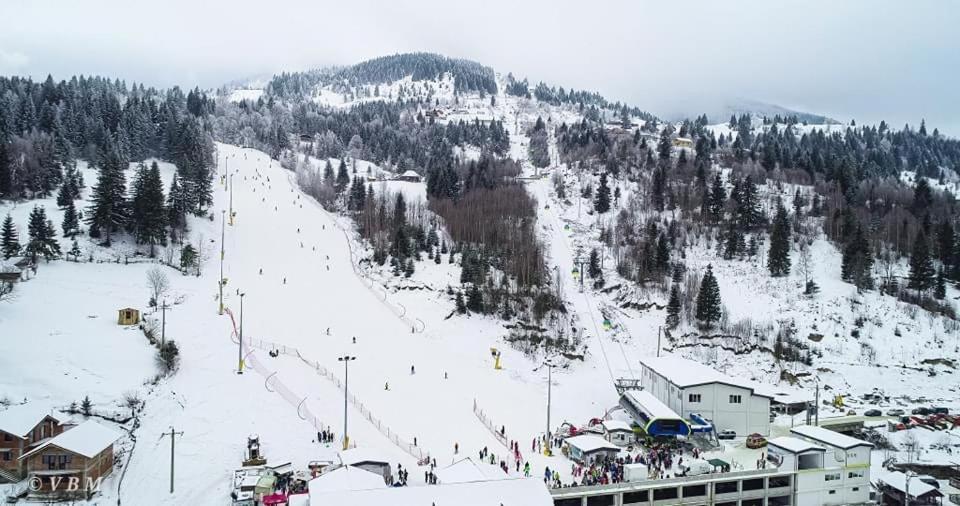Statiunea Casa Fantana - La Poalele Muntilor -50 De Metri De Partia Olimpicaヴィラ エクステリア 写真